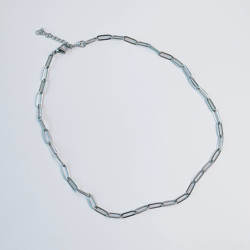 The Stainless Steel James Chain